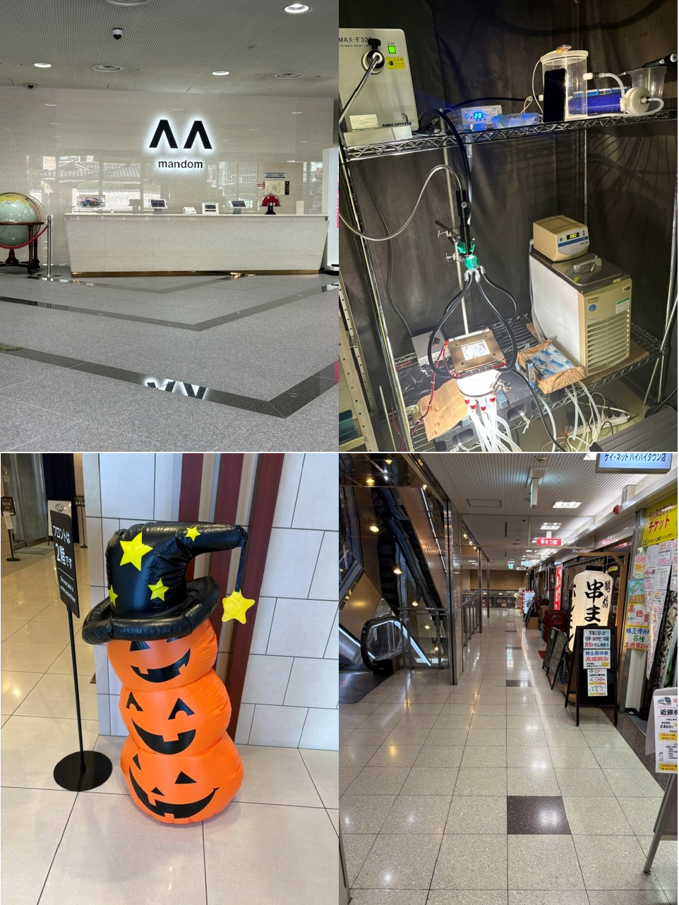 マンダム訪問